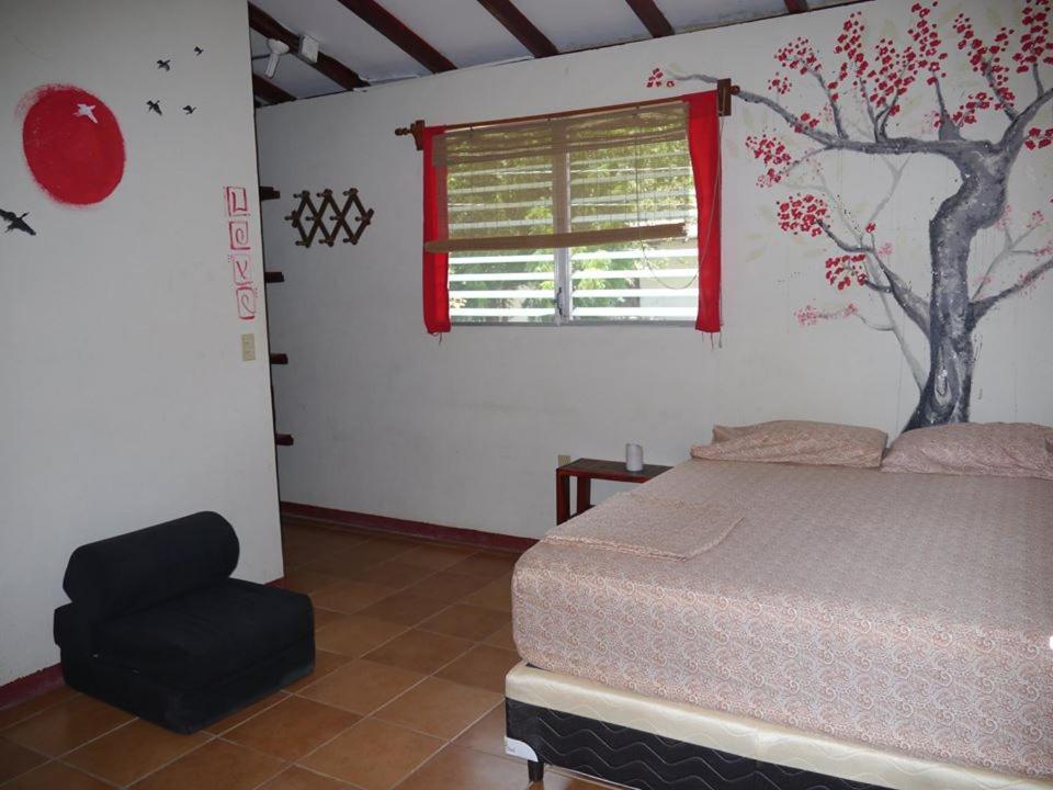 Free Spirit Hostel Transito Εξωτερικό φωτογραφία