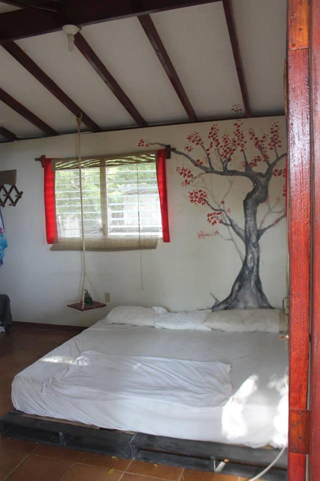 Free Spirit Hostel Transito Εξωτερικό φωτογραφία